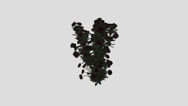 rose_bush 3D Model