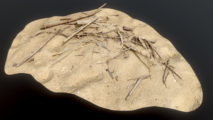 Driftwood_002_(object_on_the_beach) – Modello 3D gratuito STL