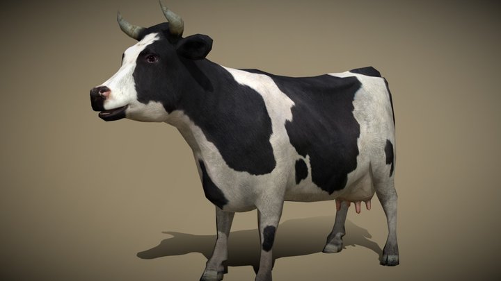 3DRT - domestic animals - cow 3D Model