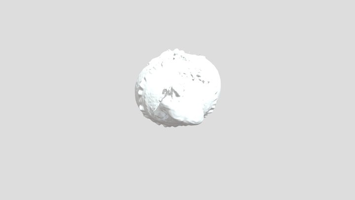 Menina_ Scaner 3D 3D Model