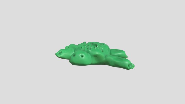 Turtle – Modello 3D gratuito STL