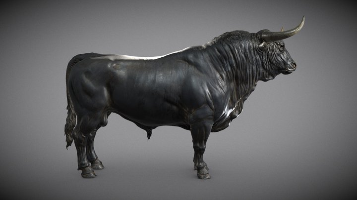 Bull_T-pose 3D Model