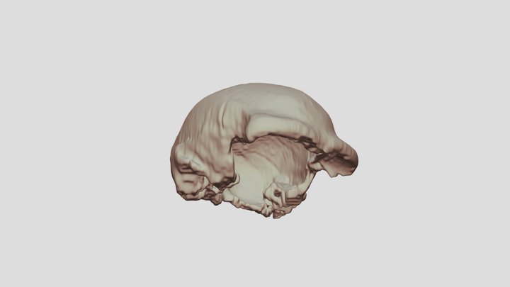 Solo Man Skullcap CT