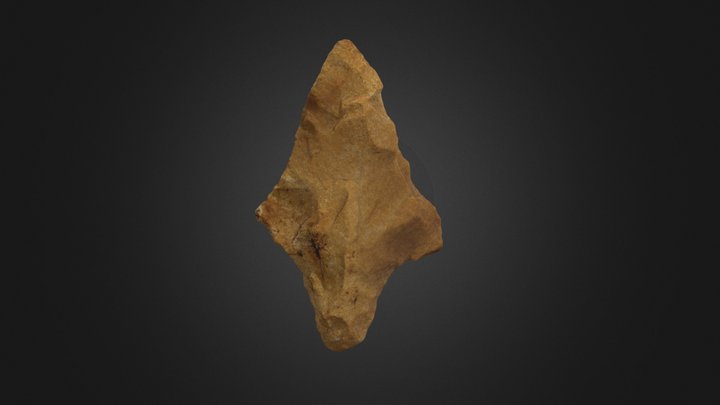 Gary Lithic Point 3D Model