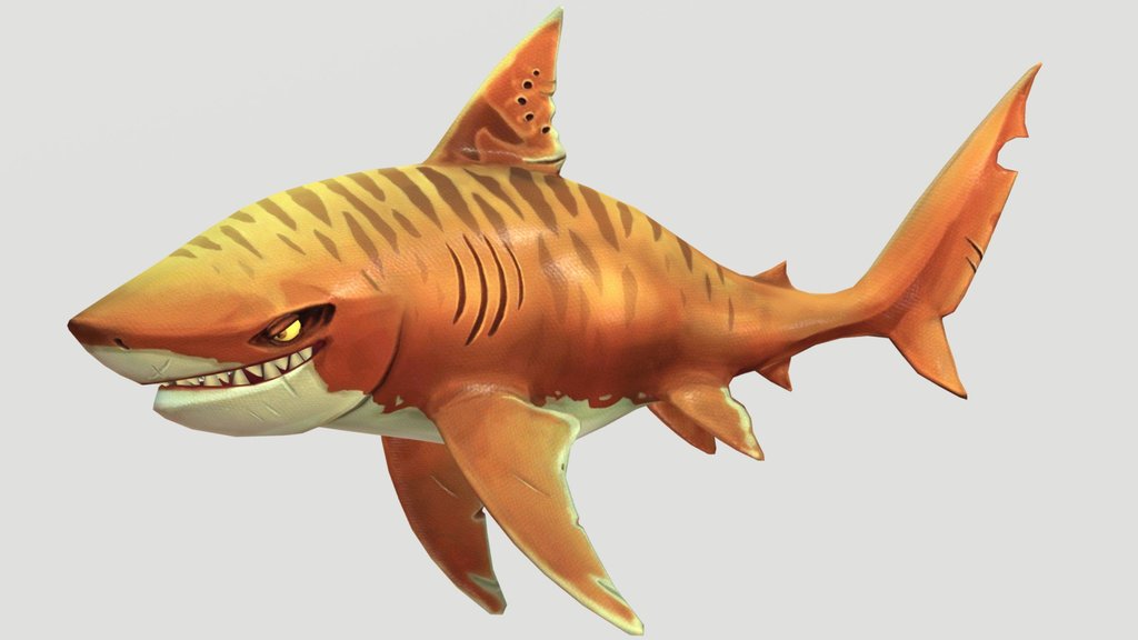 Hsw Tiger Shark