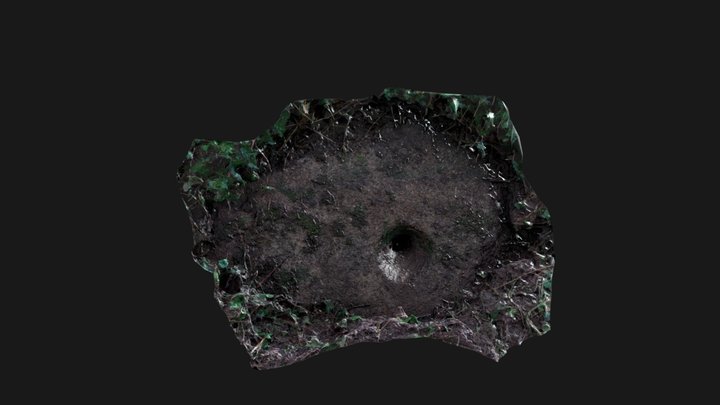 Boscawen ros holed stone first edit 3D Model