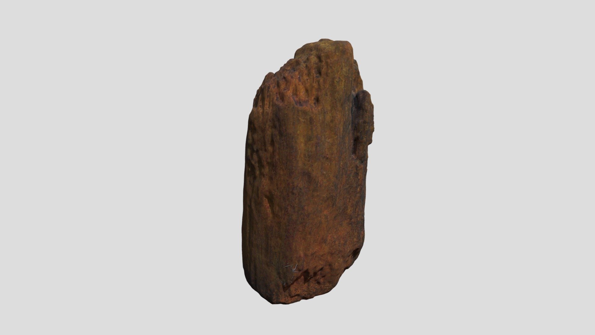 Wood from Betsy (VCU_3D_2102)