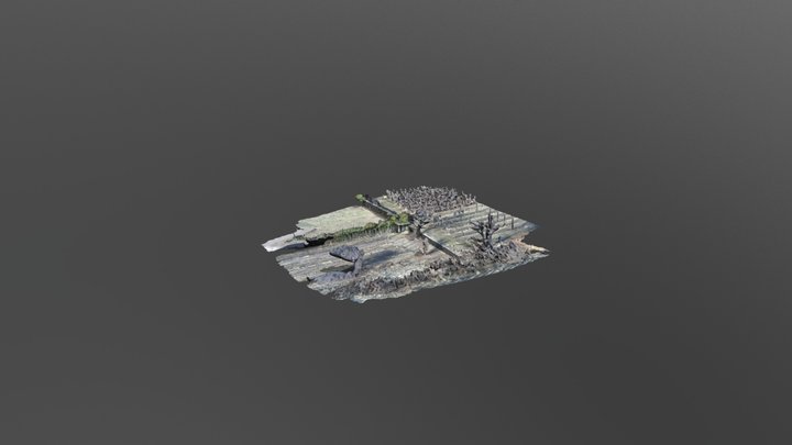 Cavada - Test N2 Triangle Model 3D Model