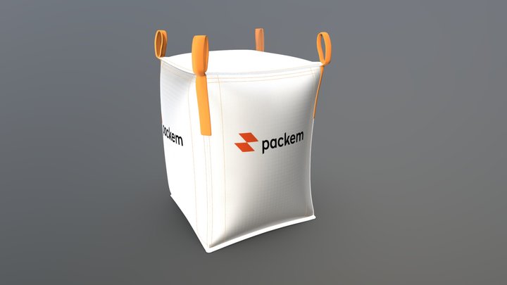 BIG BAG PLANA 3D Model