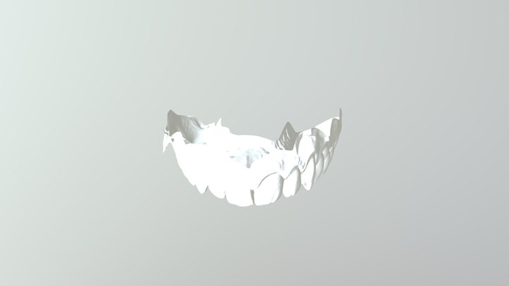 28602830 Shell Occlusion U 3D Model