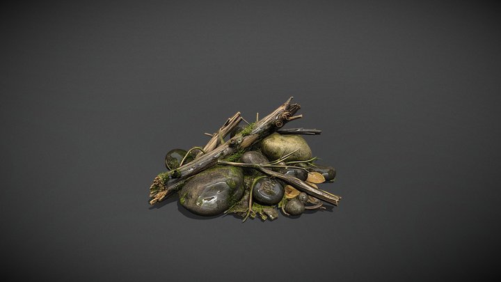 Riverbank Debris Cluster