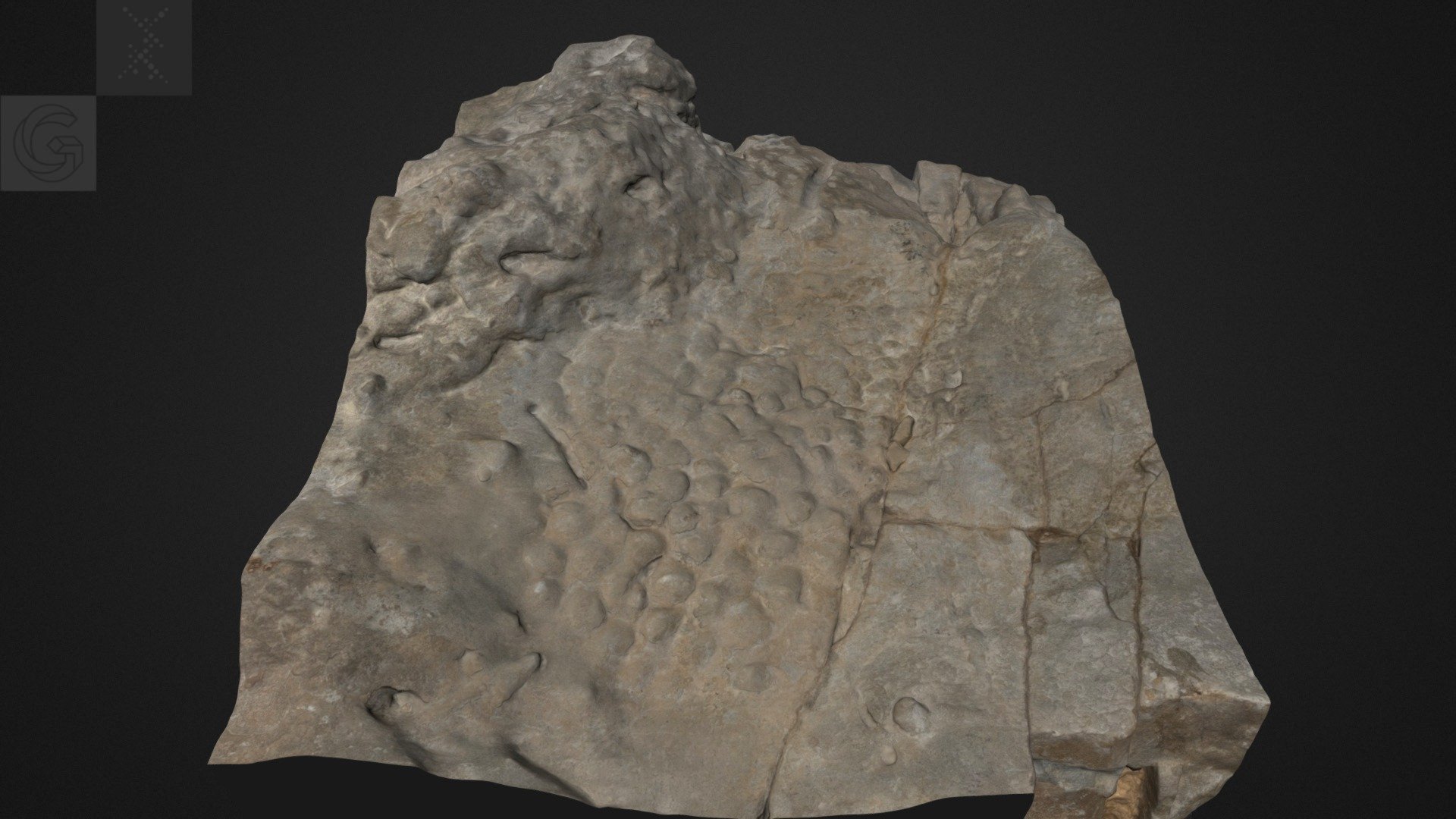 Pell de dinosaure, C.I. Dinosaures Fumanya