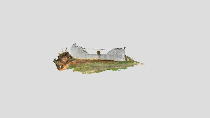 Untitled Scan 3D Model