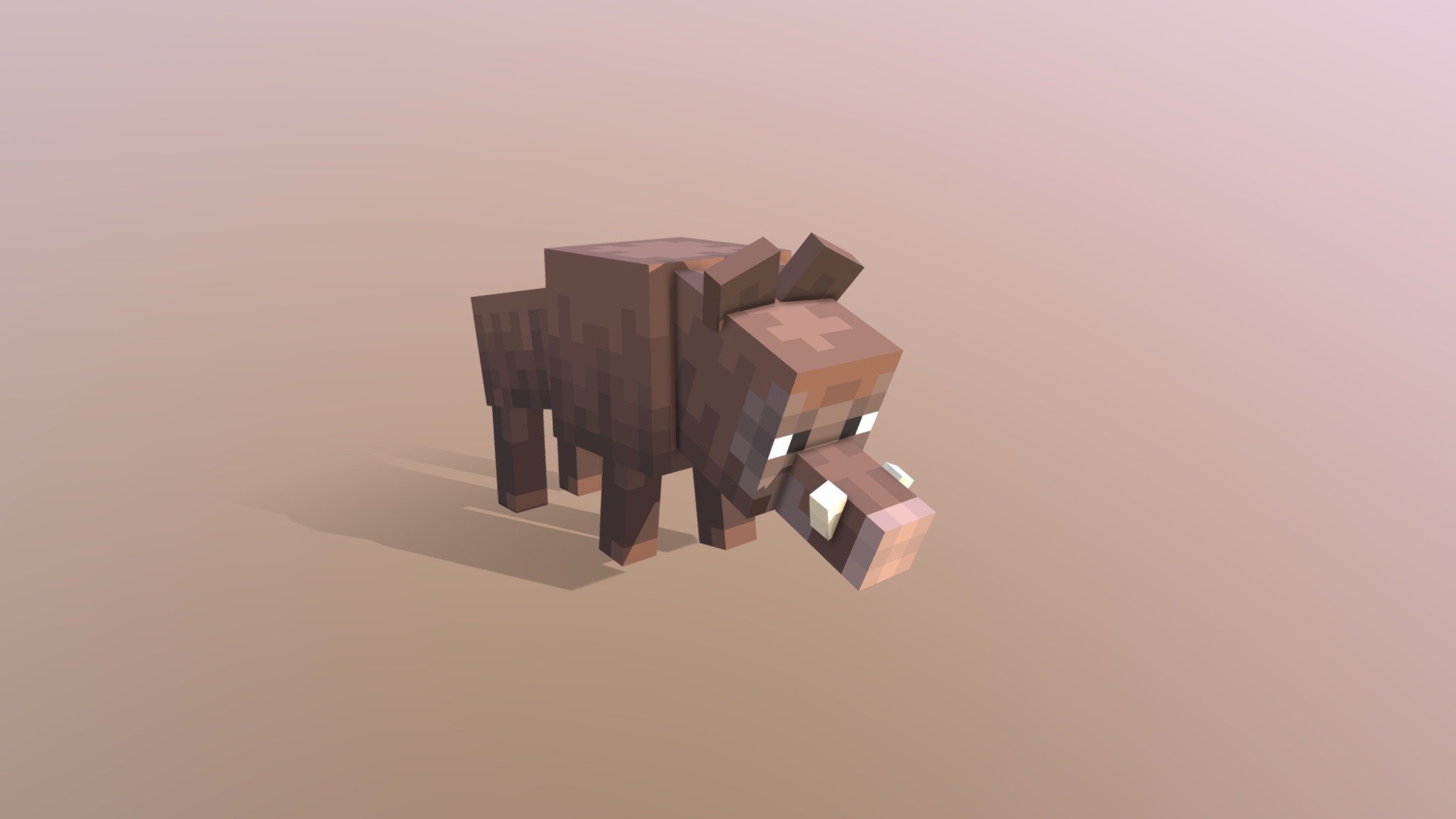 Boar