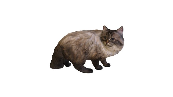 The Cat 3D Model