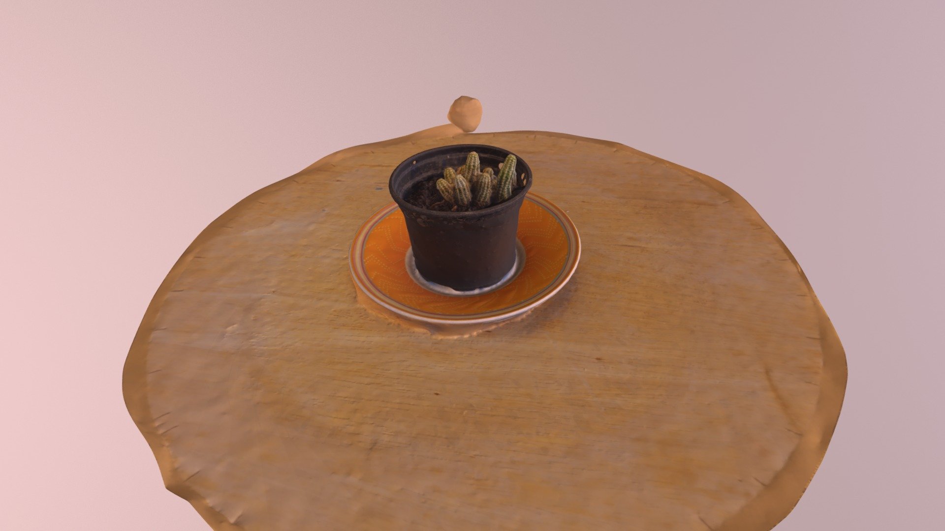 Small pot cactus