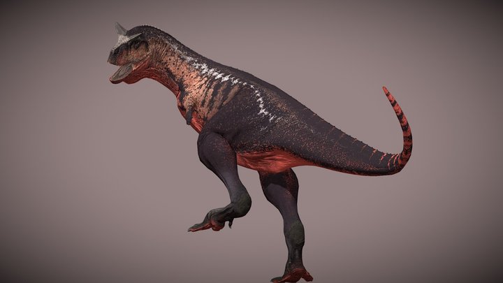 Carnotaurus Sastrei – Kostenloses 3D-Modell STL