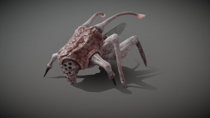 Space Bug 3D Model