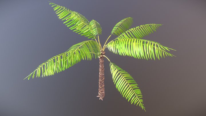 Palm Tree Game Resolution 3D Model