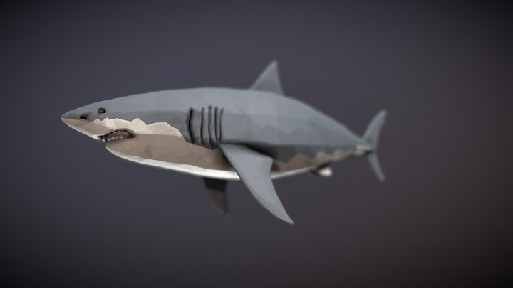 low poly animation shark 3D Model