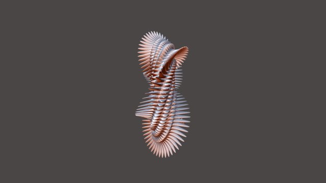 Spirals 3D Model