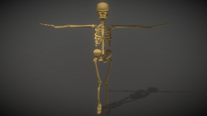 Low Poly Human/Demon Skeleton 3D Model