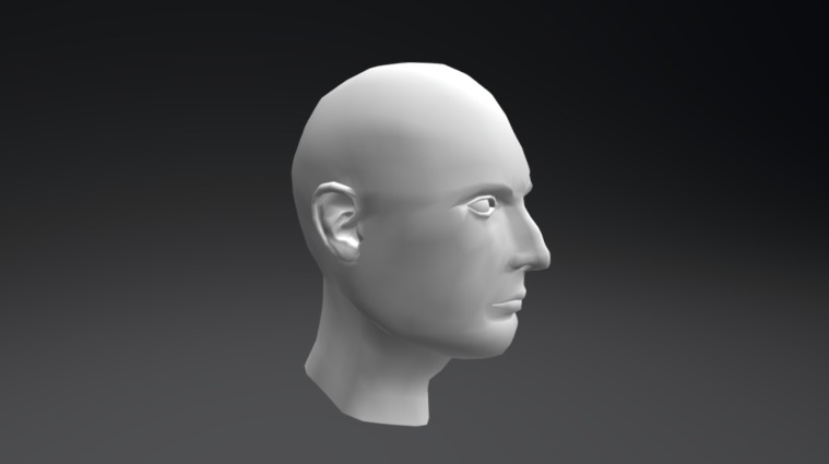 High Poly Head - 3D model by FayreCanosa [3049a69] - Sketchfab