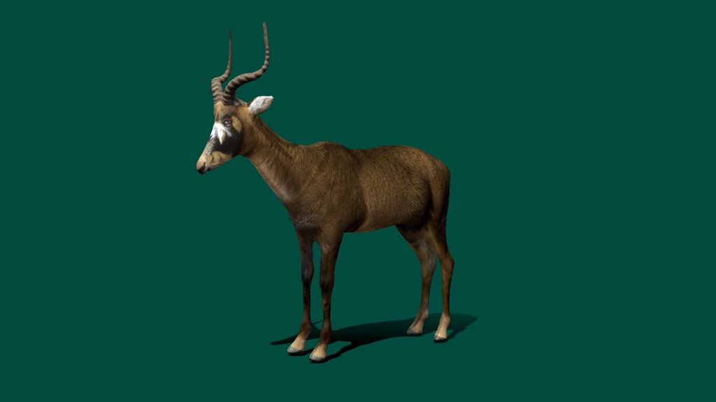 Sable Antelope (Low Poly)