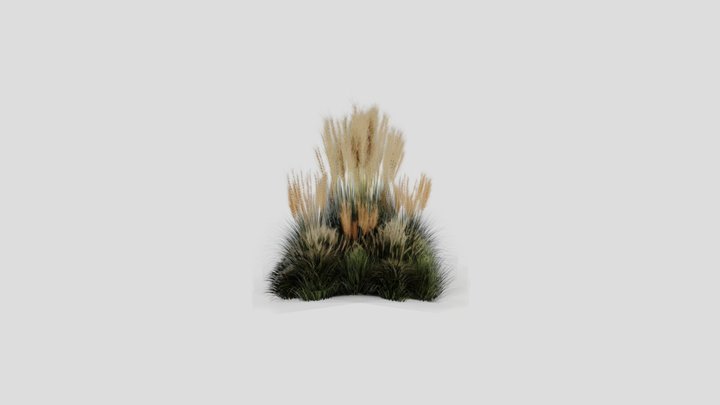 Grass 02 3D Model