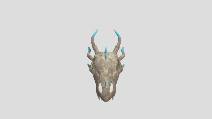 Dragon Skull 3D Model