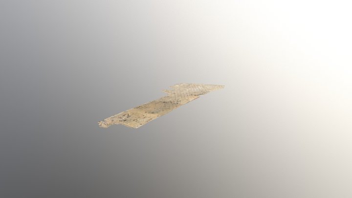 Project-2018-08-04 Simplified 3d Mesh 3D Model