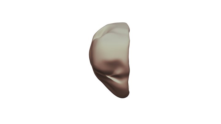 HALFHEART 3D Model