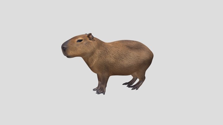 Capybara Profile – Kostenloses 3D-Modell STL