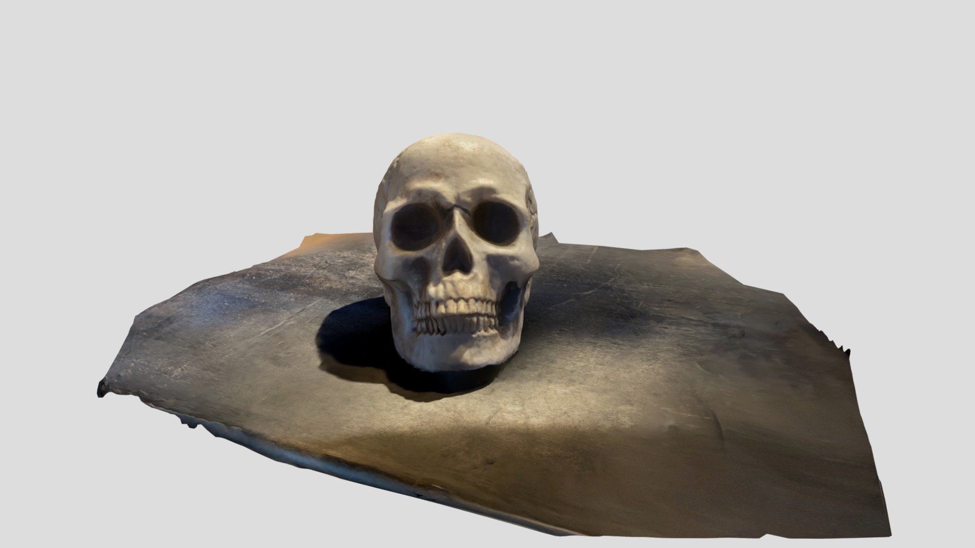 Skull