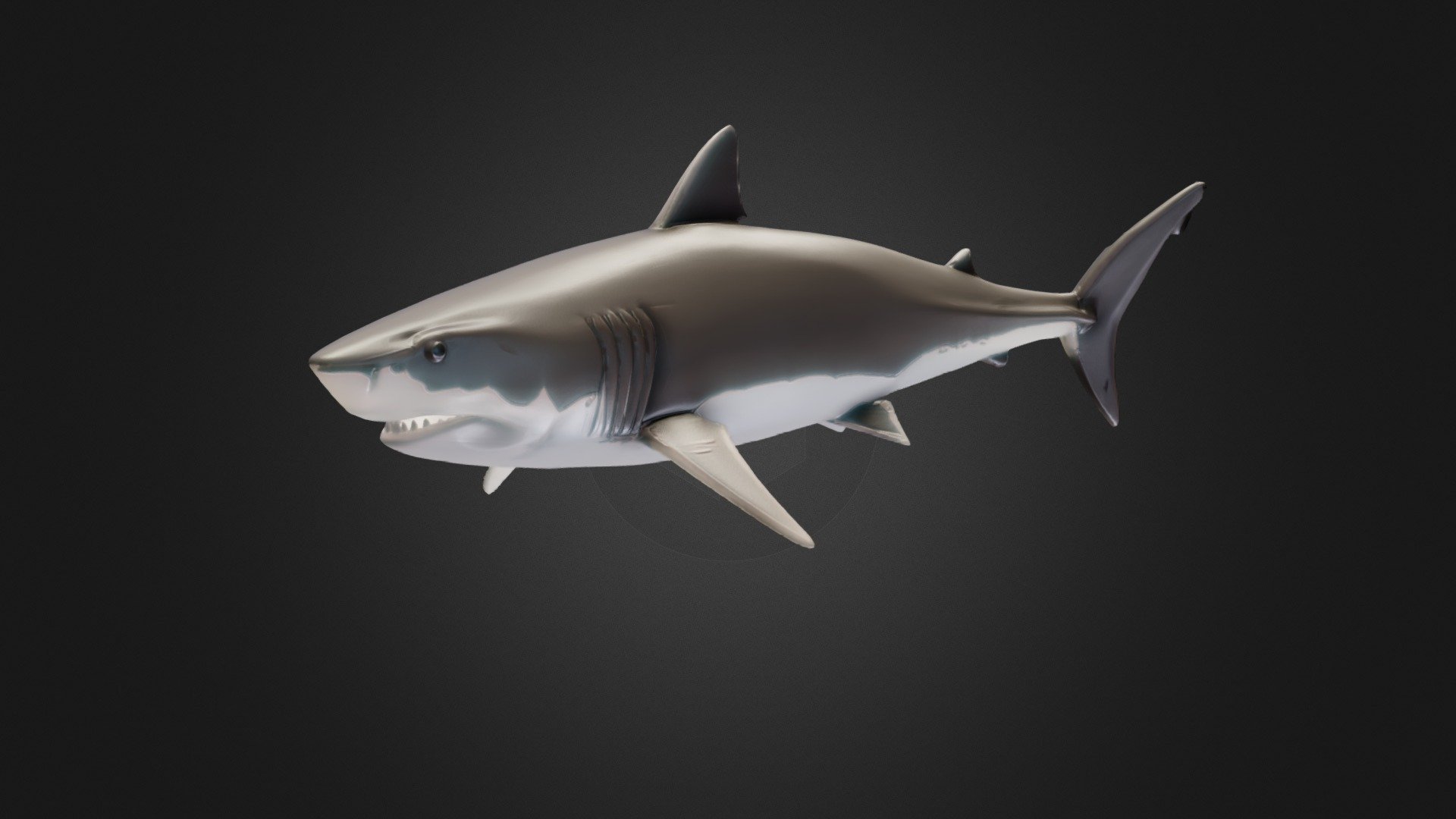 Shark - 3D model by matrixnio [305d0f3] - Sketchfab