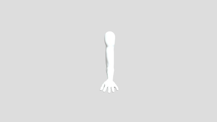 High Poly Hand 171 3D Model
