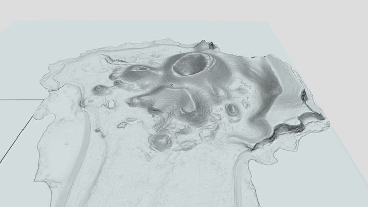 Motukorea - Browns Island via LIDAR 3D Model