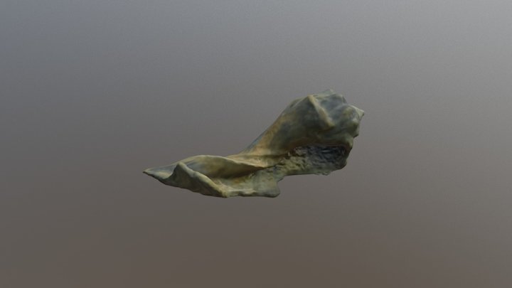 Caracola 3D Model