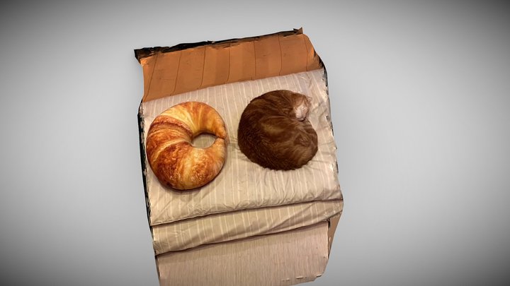 Croissant + not-croissant 3D Model