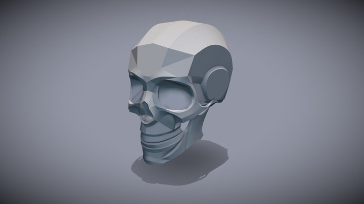 Scull Practice 3D Model