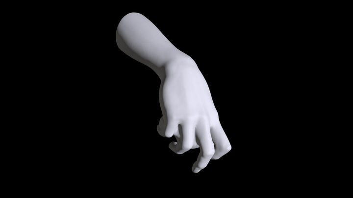 Michelangelo-s-david-hand 3D Model