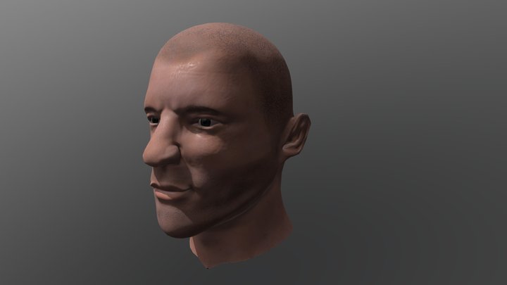 Dominic Purcell 3D Model