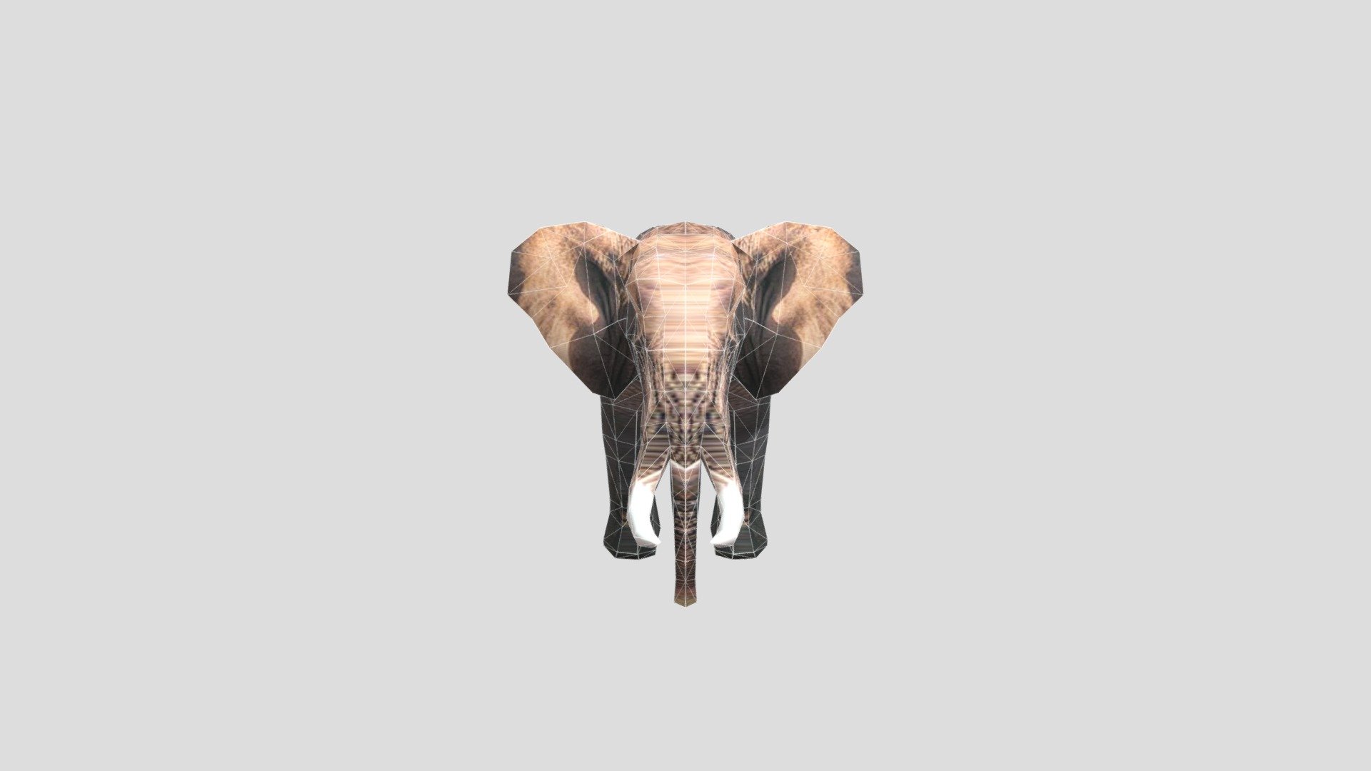 African+ Elephant+(adult+male)+FOTO - Download Free 3D model by ...