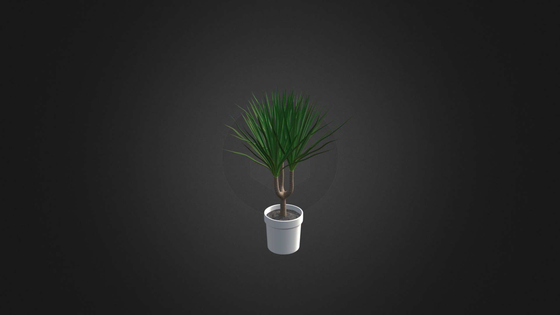 3D model Palm Tree in Round Pot 2 - This is a 3D model of the Palm Tree in Round Pot 2. The 3D model is about a plant in a pot.