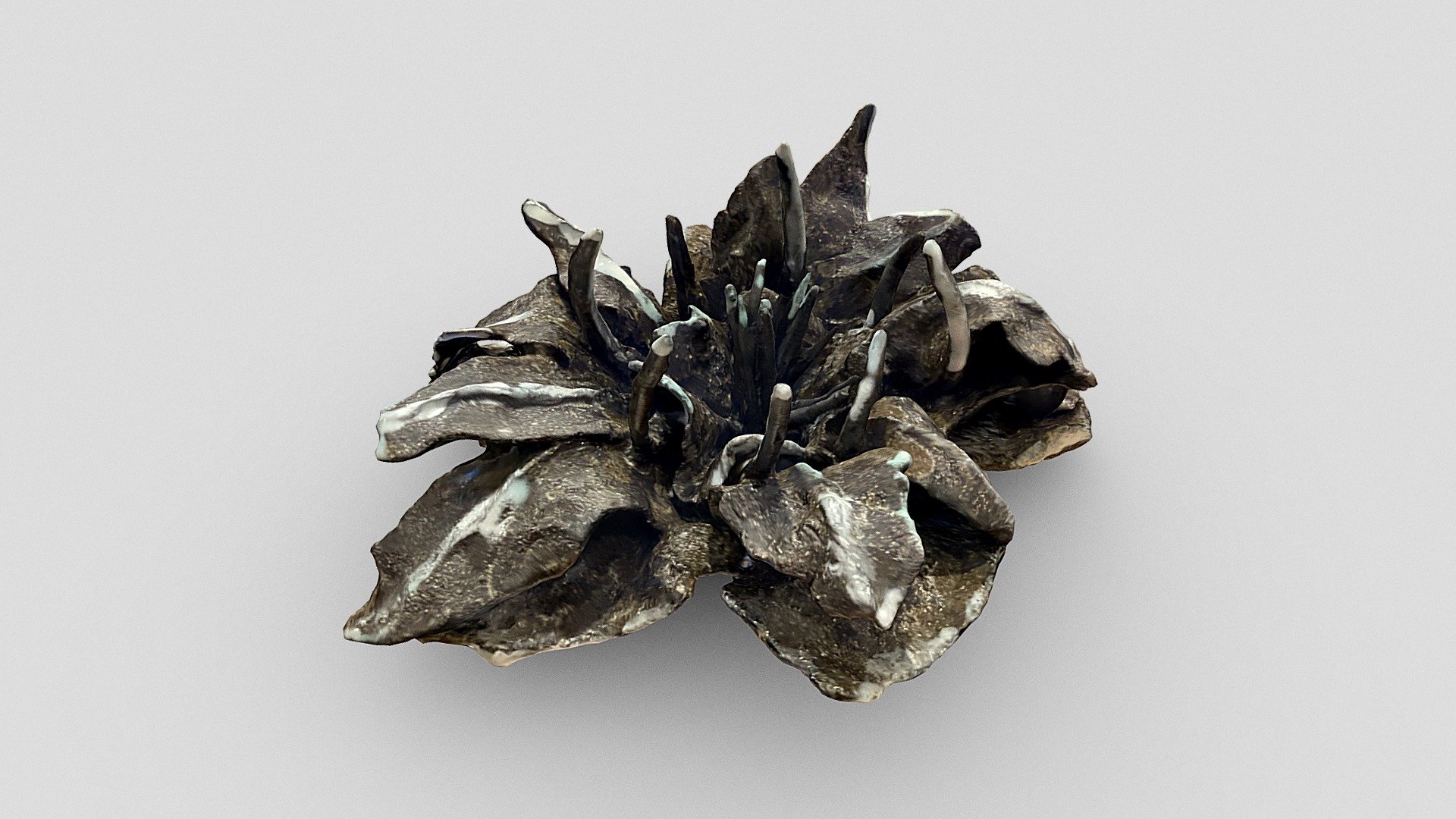 Sculpted flower - Black & white marks
