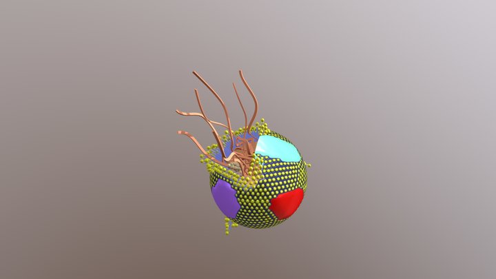Formation du Chylomicron HQ 3D Model
