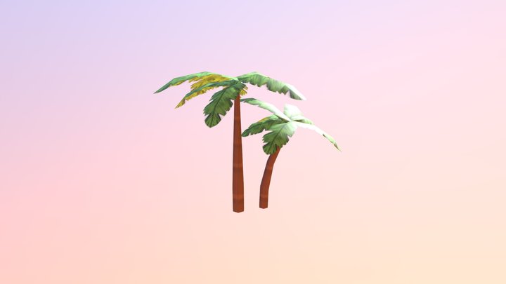 COQUEIRO 3D Model