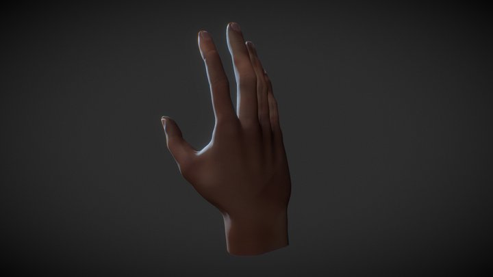 Human Male Hand base mesh - Dark Skin 3D Model