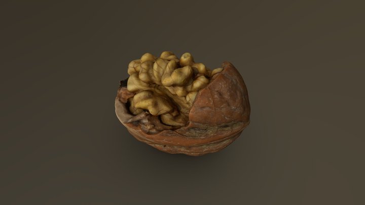 Cracked Walnut 17 3D Model