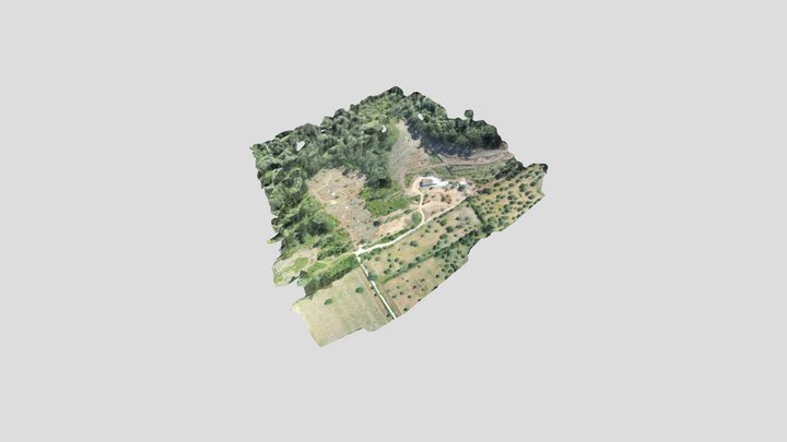 Recuperació Zona Agrícola 3D Model